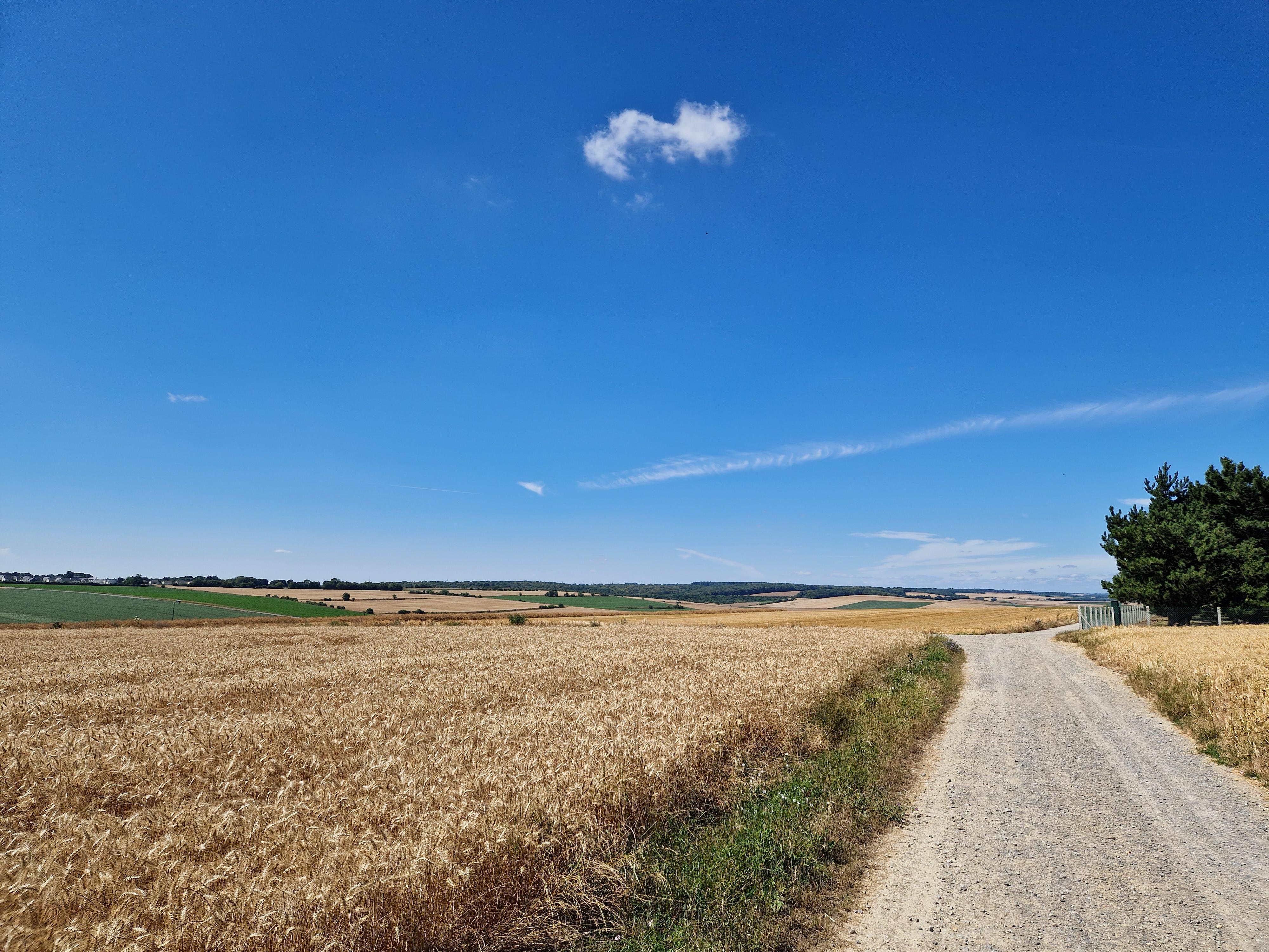 Cycling Track along the Western Front Way