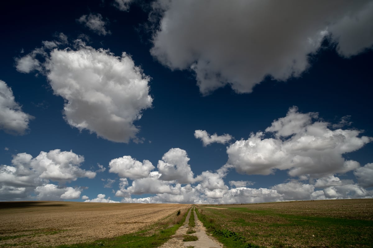 Beaumont Hamel