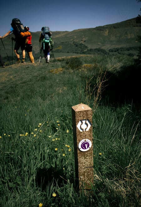 Follow the WHW Signs